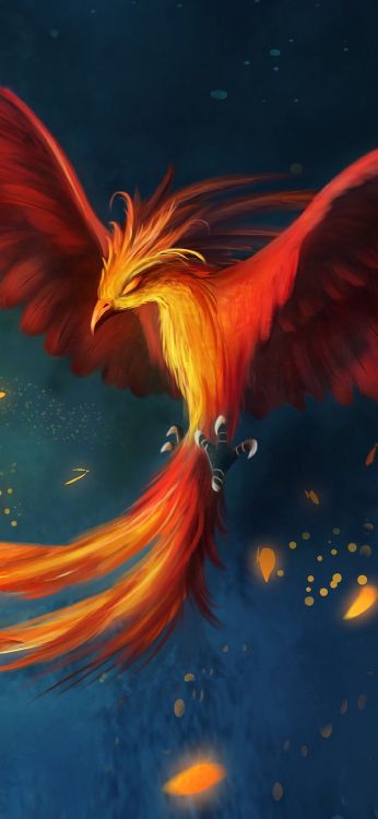 Dessin Oiseau Phoenix Volant, Art, Phoenix, Dessin, L'art Numérique. Wallpaper in 1080x2340 Resolution