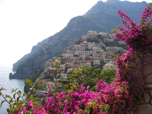 Image pink flowers on mountain near body of water during daytime