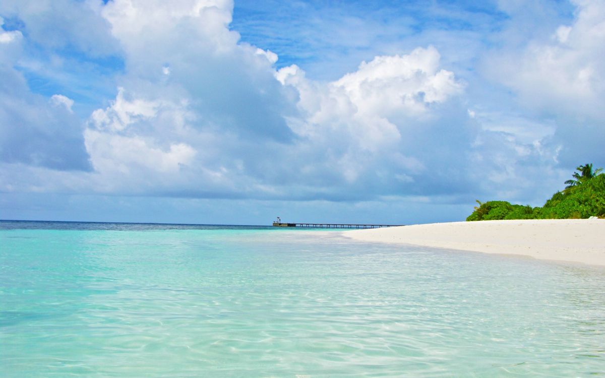 精神恍惚的音乐, 大海, 海洋, 沿海和海洋地貌, 热带地区 壁纸 2560x1600 允许