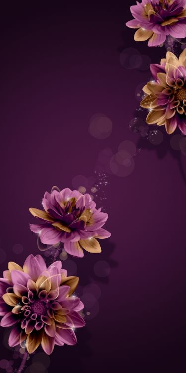 Flower, Plant, Purple, Nature, Petal. Wallpaper in 1240x2480 Resolution