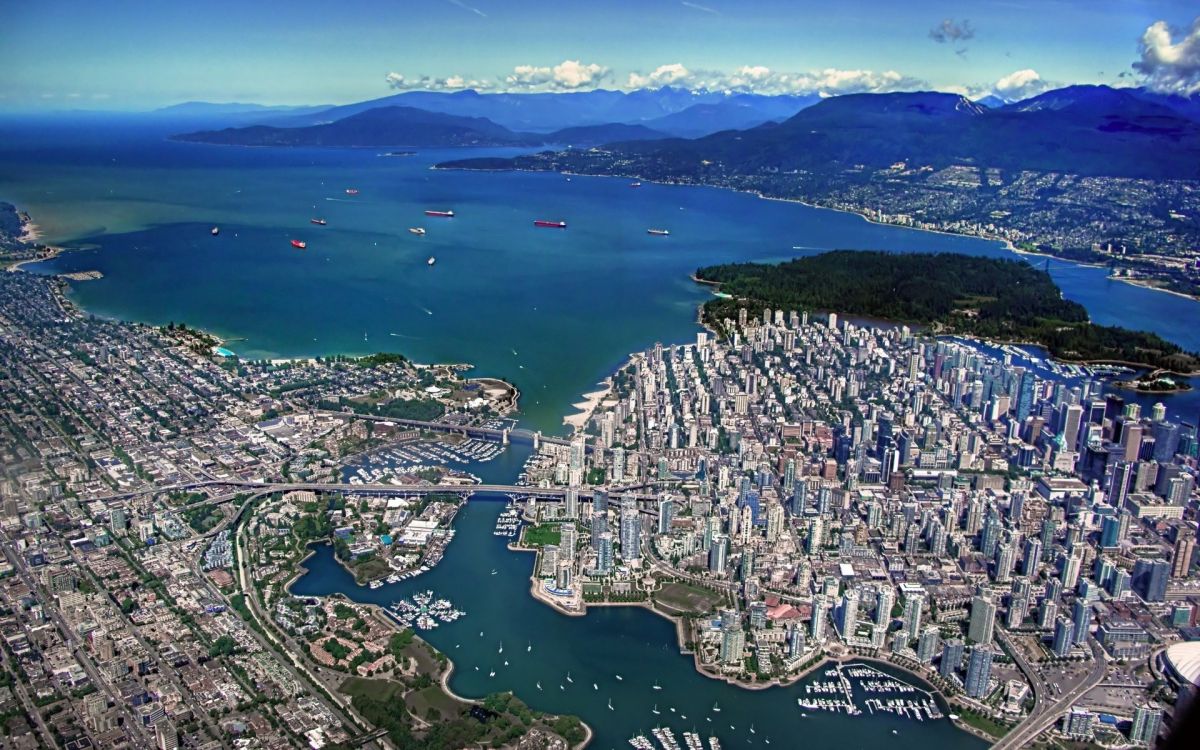 aerial view of city buildings near body of water during daytime