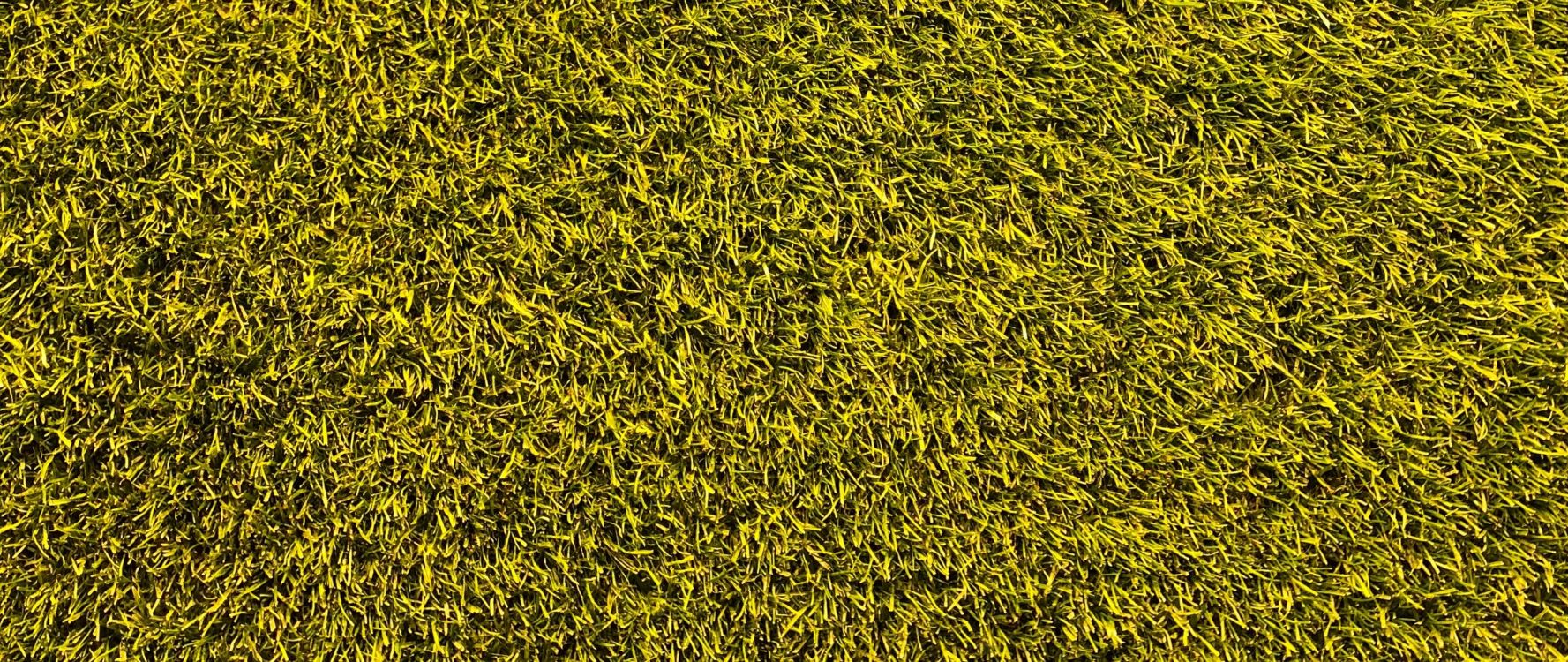 Pintura Abstracta Amarilla y Negra. Wallpaper in 2560x1080 Resolution