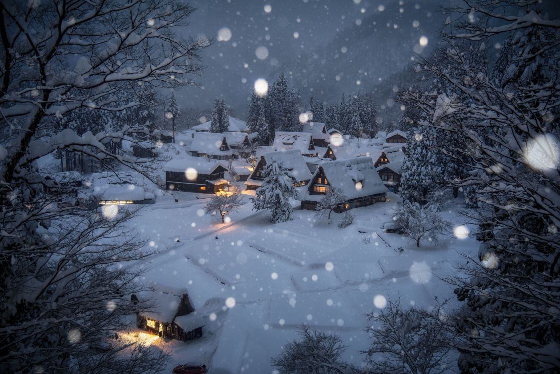 snow covered houses during night time