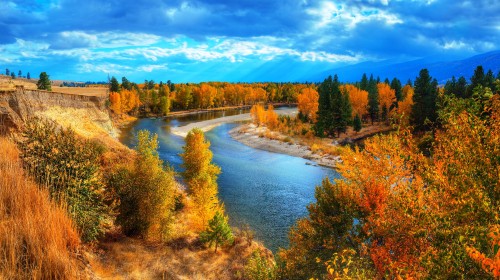 Image brown trees near lake under blue sky during daytime