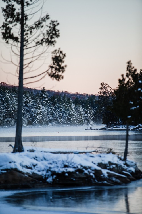 Image winter, snow, nature, water, tree