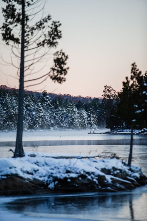 winter, snow, nature, water, tree