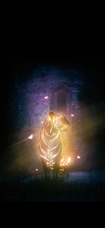 Lumière, Électricité, Gaz, Art, Chaleur. Wallpaper in 1080x2340 Resolution