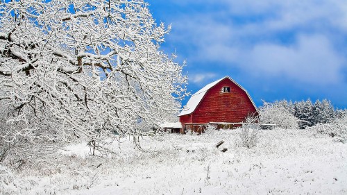 Image brown wooden house in the middle of snow covered trees