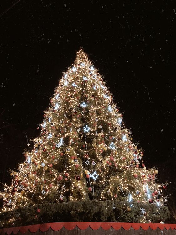 Weihnachtsbaum, Weihnachten, Fichte, Weihnachtsbeleuchtung, Weihnachtsdekoration. Wallpaper in 3024x4032 Resolution