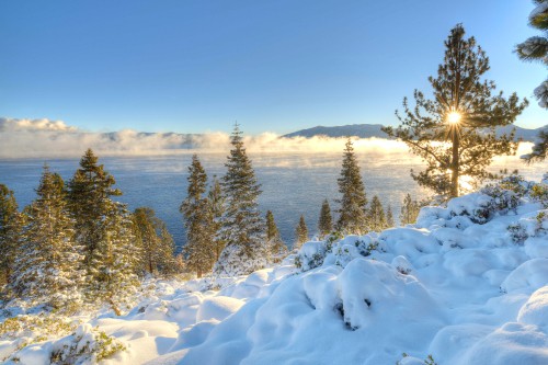 Image snow covered field near green trees and body of water during daytime