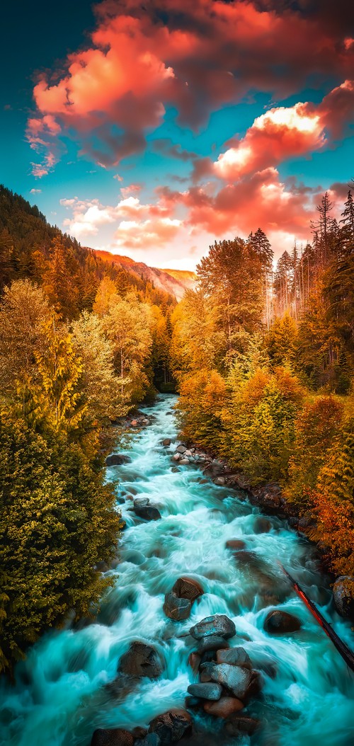 Image larch, cloud, water, blue, natural landscape