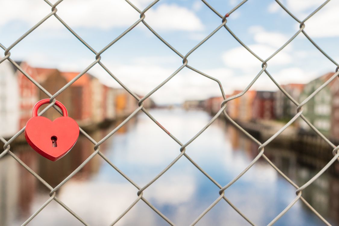 Wire Fencing, Padlock, Lock, Red, Mesh. Wallpaper in 5472x3648 Resolution