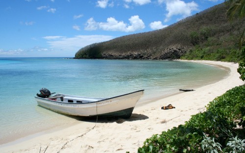 Image white and black boat on beach during daytime