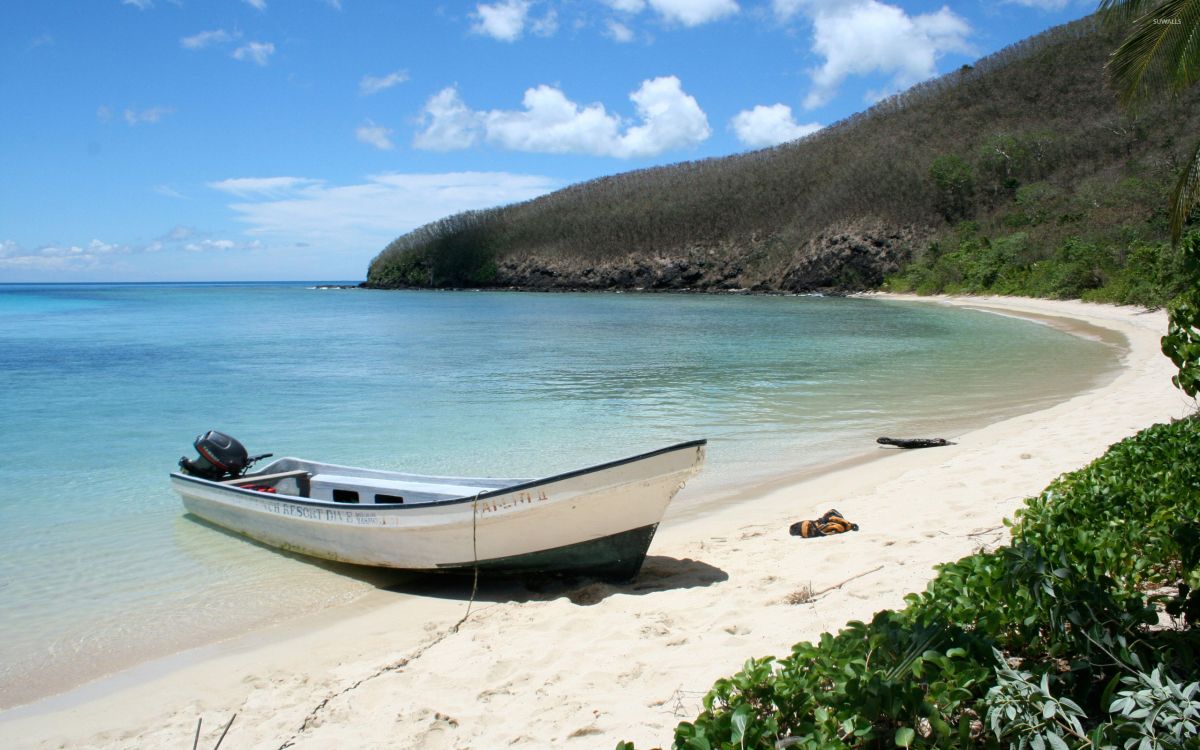 white and black boat on beach during daytime