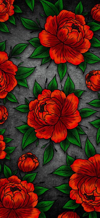 Flora, Verde, la Botánica, Pétalo, Naturaleza. Wallpaper in 1080x2340 Resolution