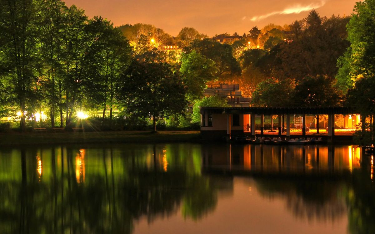 green trees beside body of water during daytime