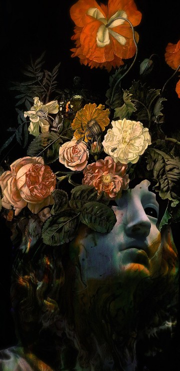 Image still life, art, poster, paris, lion