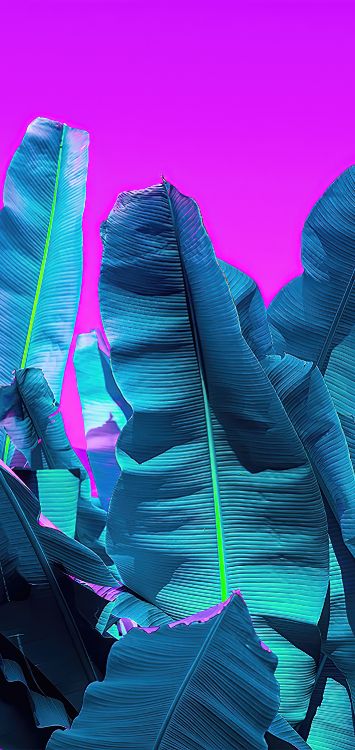 Friseursalon Rio, Azure, Purpur, Pink, Veilchen. Wallpaper in 1420x3000 Resolution