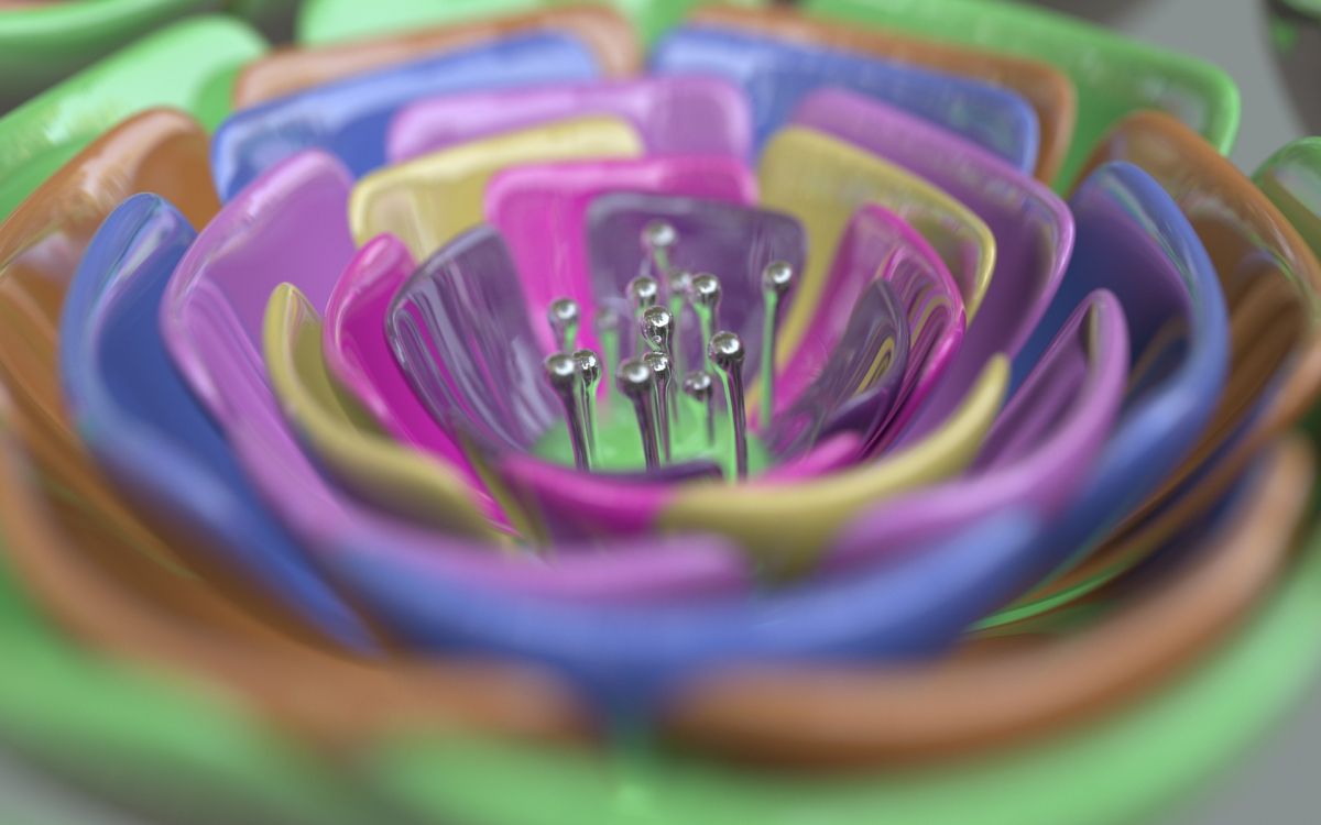 Pince à Cheveux en Plastique Multicolore. Wallpaper in 1920x1200 Resolution