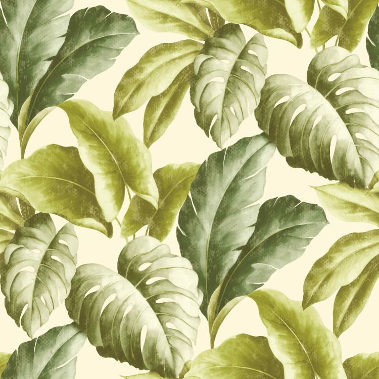 Planta de Hojas Verdes y Blancas. Wallpaper in 3000x3000 Resolution