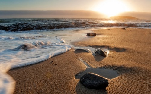 Image brown sand near body of water during daytime