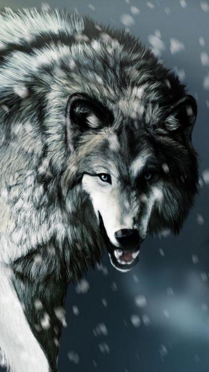 Loup Arctique, Design D'intérieur, Fresque, Race de Chien, Carnivores. Wallpaper in 1080x1920 Resolution