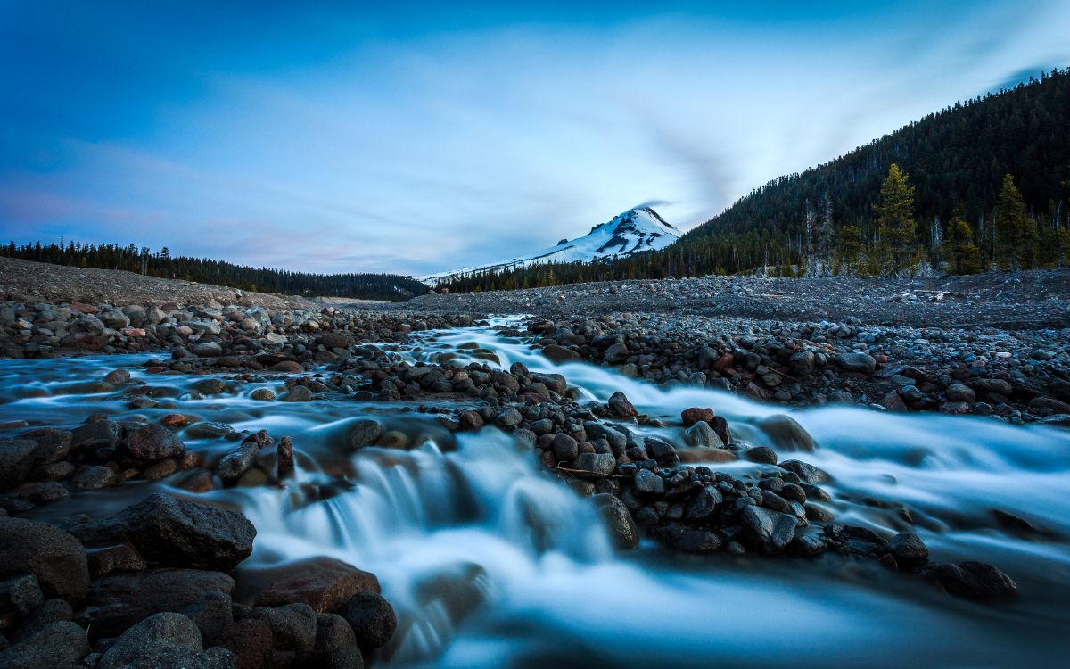Mt. Hood National Forest, Oregon, Yosemite National Park, Fluss, Wald. Wallpaper in 5120x3200 Resolution
