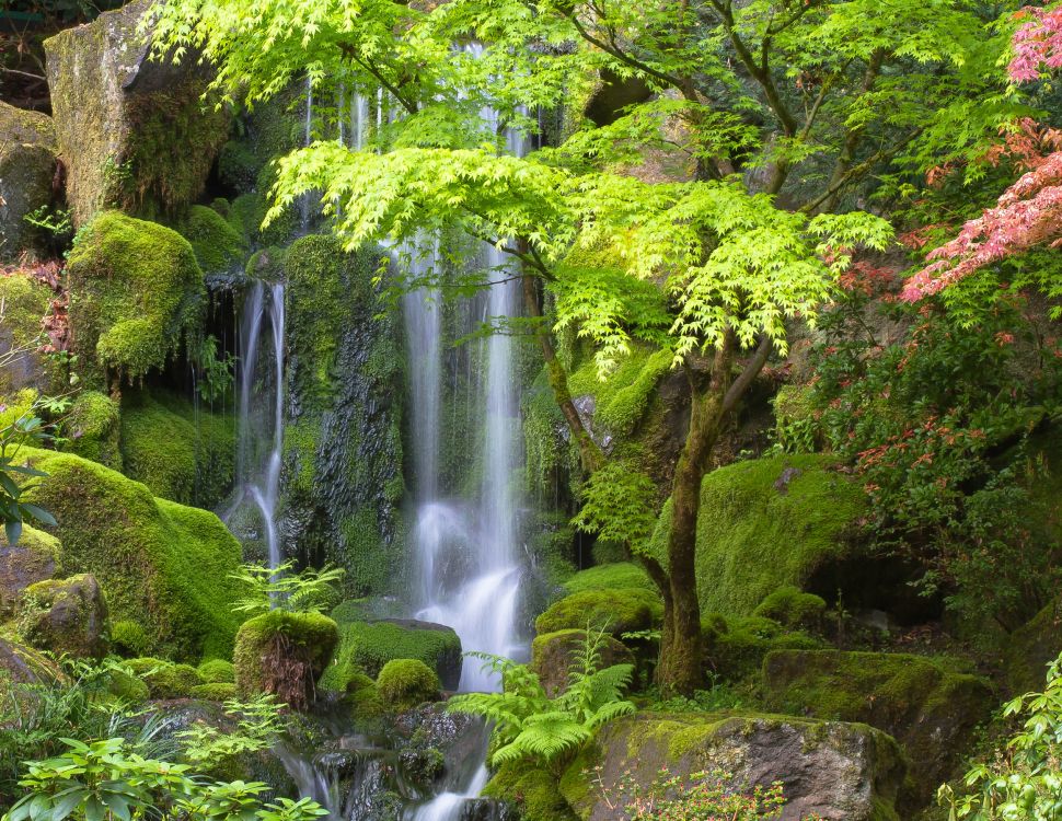 波特兰的日本花园, 人体内的水, 自然景观, 性质, 水资源 壁纸 4472x3456 允许