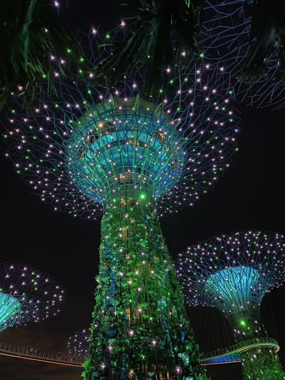 Singapur, Licht, Weihnachtsbeleuchtung, Gr, Weihnachtsdekoration. Wallpaper in 1536x2048 Resolution