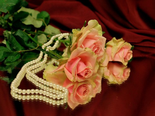 Image pink roses on red textile