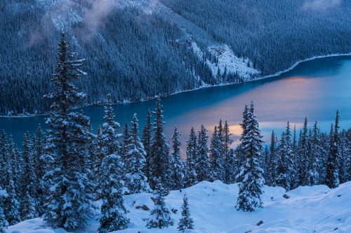 Image snow covered pine trees and mountains during daytime