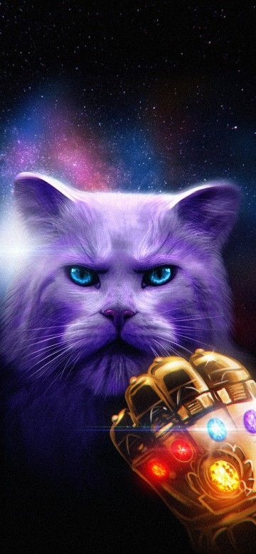Image cat avenger, cat, cat scratching tree, cat collar, Thanos