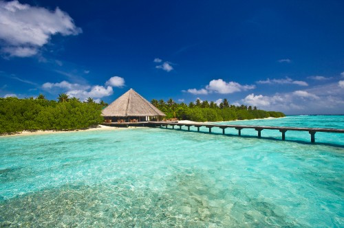 Image brown wooden house on green water under blue sky during daytime