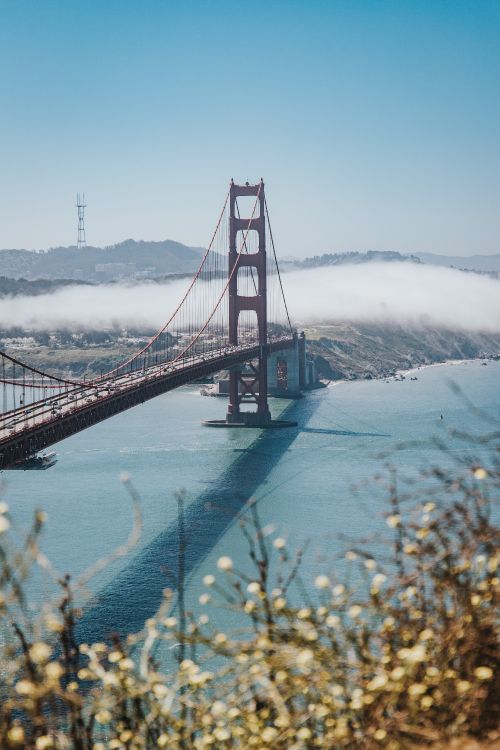 Pont du Golden Gate San Francisco Californie. Wallpaper in 4160x6240 Resolution