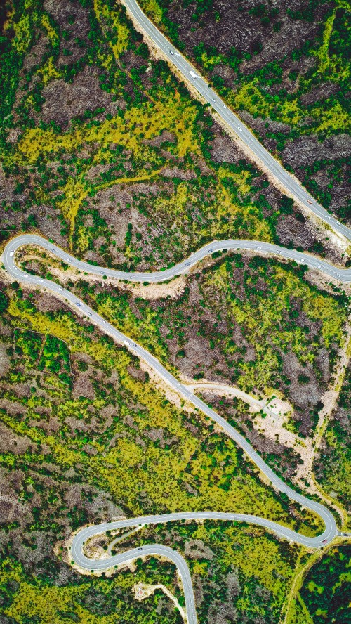 Image road, waterway, estuary, plant, thoroughfare
