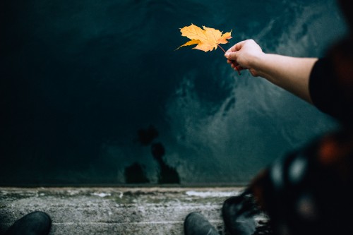 Image person holding yellow maple leaf