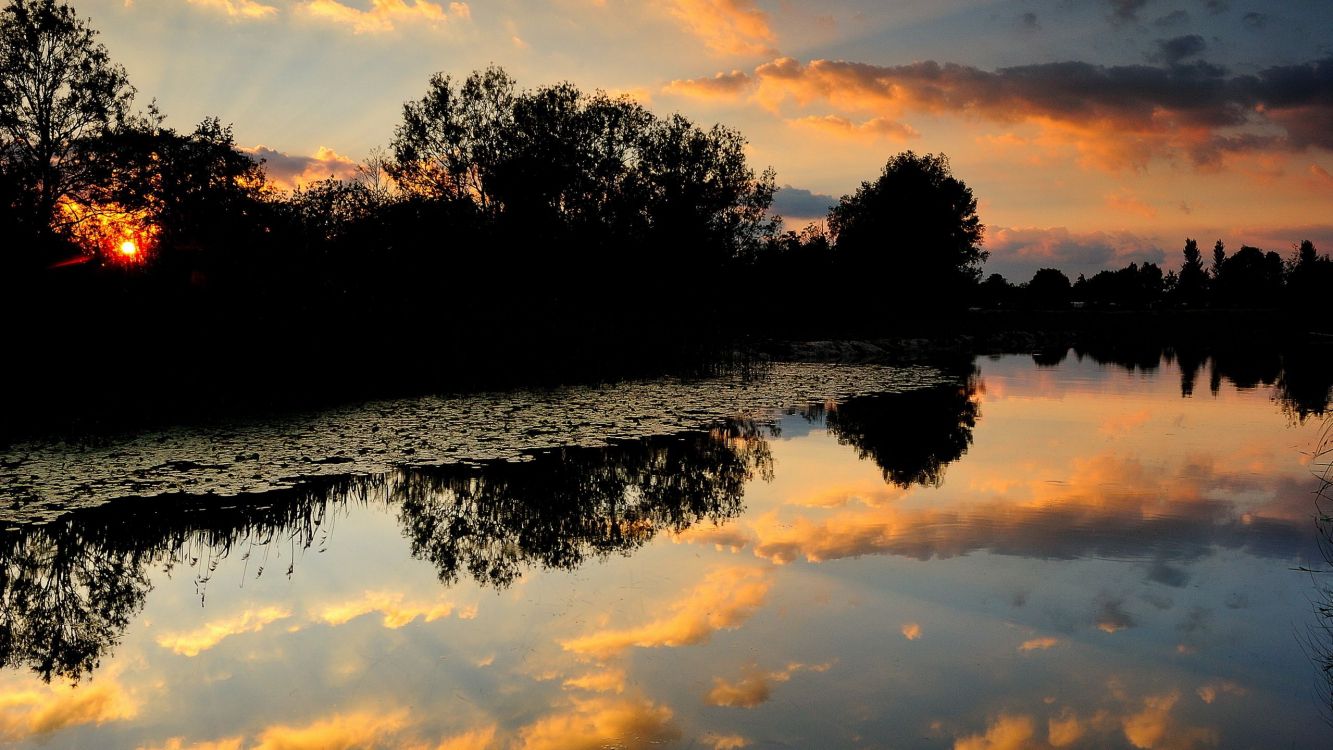 green trees beside body of water during sunset