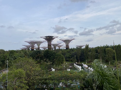 Image singapore, marina city park, biology, science, cloud