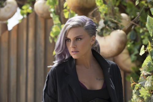 Image woman in black blazer standing near brown tree during daytime