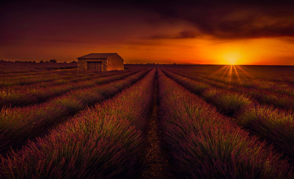 Braunes Haus Auf Grüner Wiese Bei Sonnenuntergang. Wallpaper in 3886x2365 Resolution