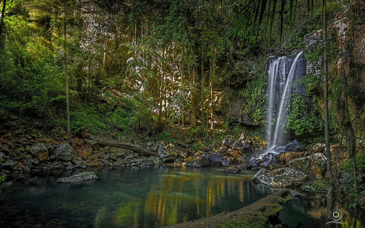 自然保护区, 人体内的水, 性质, 水资源, 植被 壁纸 2560x1600 允许