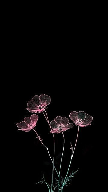 Image darkness, world, user, flower, 2025
