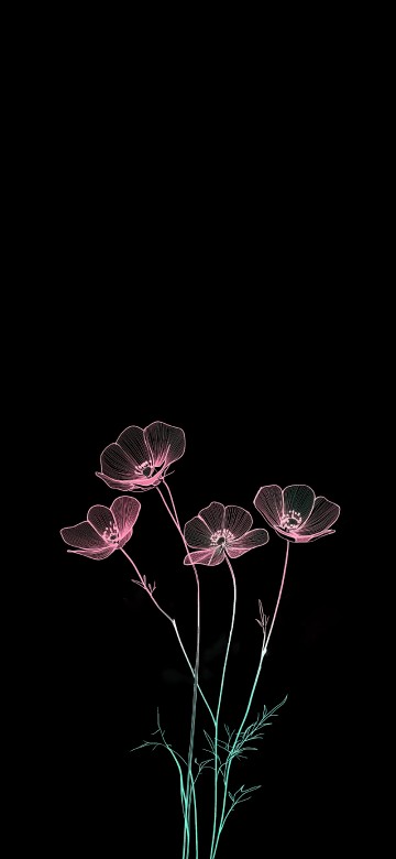 Image darkness, world, user, flower, 2025