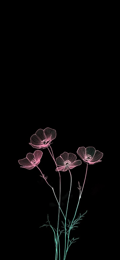 Image darkness, world, user, flower, 2025