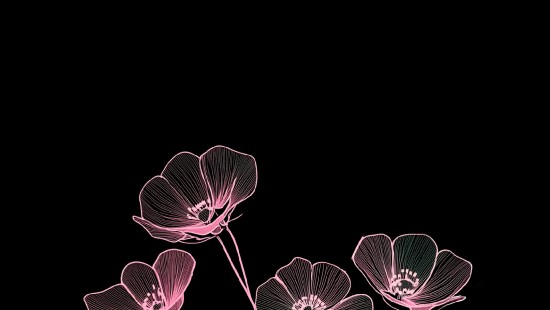 Image darkness, world, user, flower, 2025