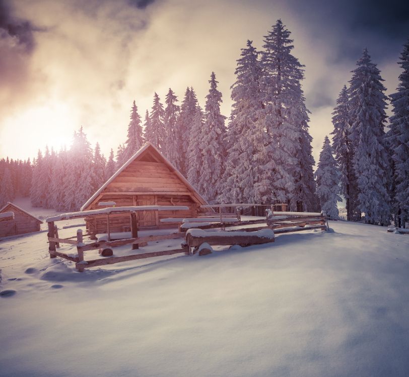 brown wooden house near green trees under white clouds and blue sky during daytime