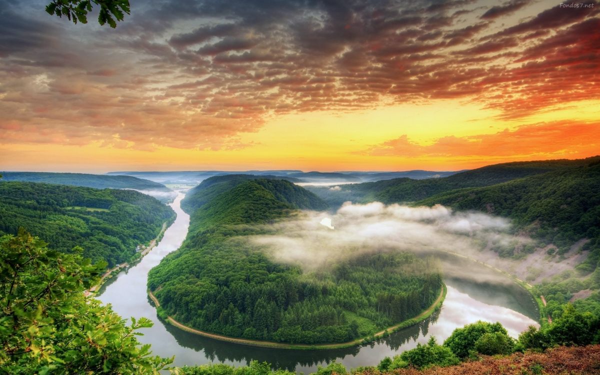 Grüne Bäume Und Gewässer Unter Bewölktem Himmel Tagsüber. Wallpaper in 2560x1600 Resolution