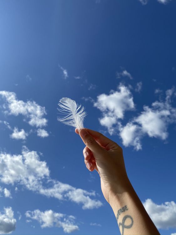 Wissenschaft, Finger, Tageszeit, Cloud, Handgelenk. Wallpaper in 1536x2048 Resolution