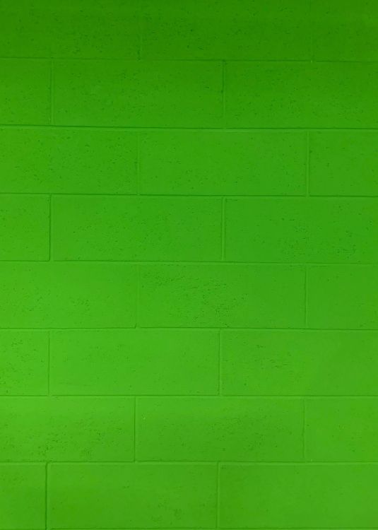 green wall paint during daytime