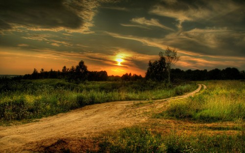 Image green grass field during sunset